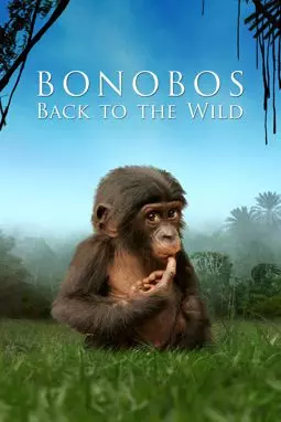 Бонобо - постер