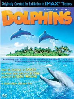 Дельфины - постер