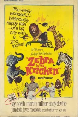 Зебра на кухне - постер
