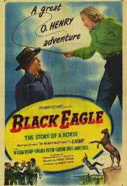 Black Eagle - постер