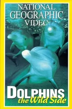 Dolphins: The Wild Side - постер