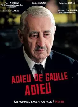 Прощайте Де Голль прощайте - постер