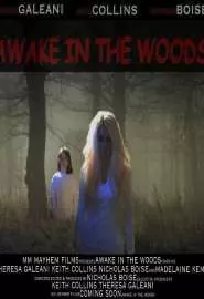 Awake in the Woods - постер