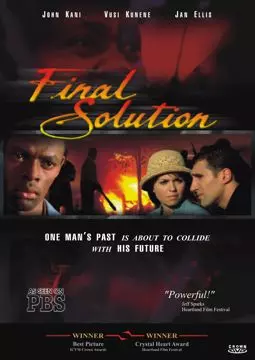 Final Solution - постер