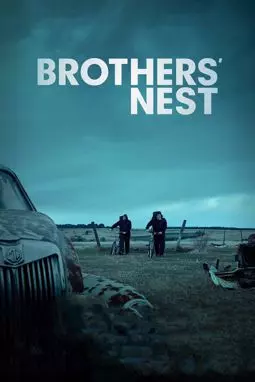 Братское гнездо - постер