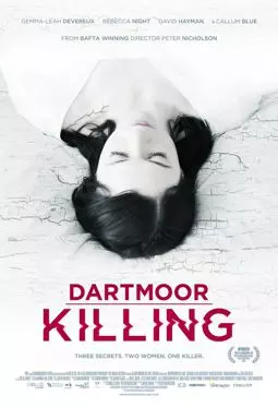 Dartmoor Killing - постер