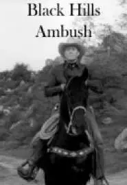 Black Hills Ambush - постер