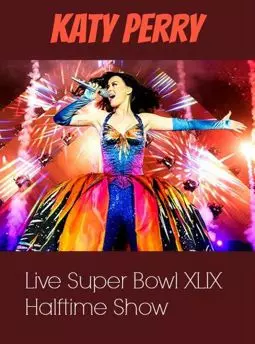 Super Bowl XLIX - постер