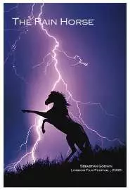 Лошадь дождя - постер