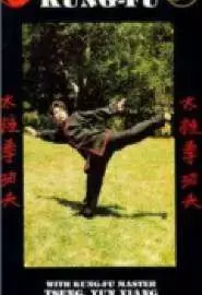 Tang Shan gung fu - постер