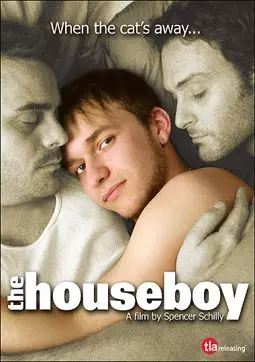 Домашний мальчик - постер