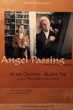 Angel Passing - постер