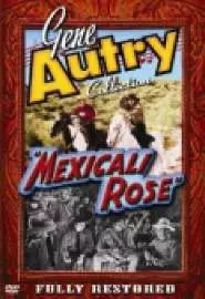 Mexicali Rose - постер