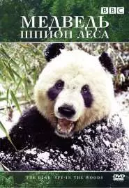 Медведь: Шпион леса - постер