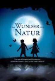 Das Wunder der atur - постер