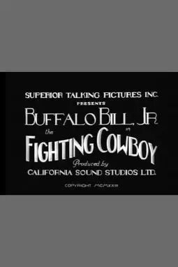 The Fighting Cowboy - постер