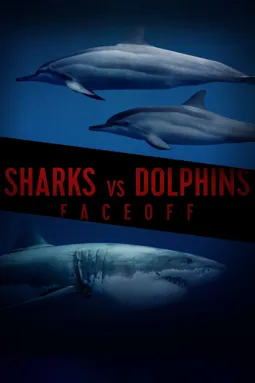 Sharks vs. Dolphins: Face Off - постер