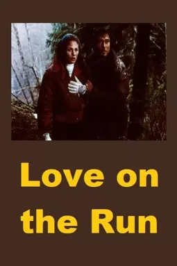 Love on the Run - постер