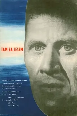 Tam za lesem - постер