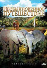 Необыкновенное путешествие: История про двух слонят - постер