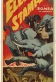 Elephant Stampede - постер