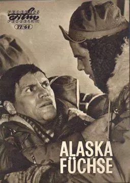 Лисы Аляски - постер
