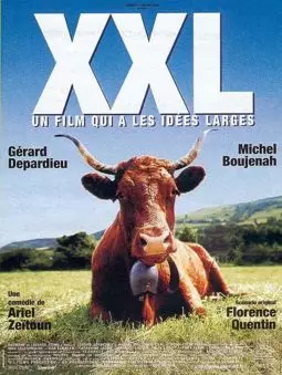 XXL - постер