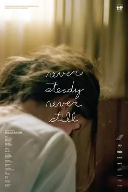 Never Steady, Never Still - постер