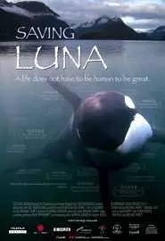 Saving Luna - постер
