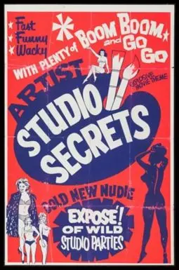 Artist Studio Secrets - постер