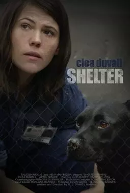 Shelter - постер