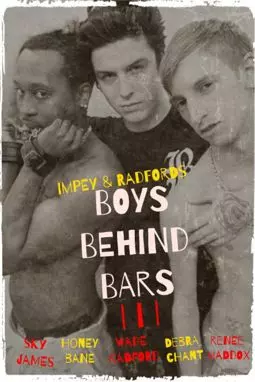 Boys Behind Bars 3 - постер