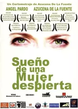 Sueño de una mujer despierta - постер