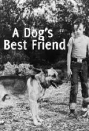 A Dog's Best Friend - постер