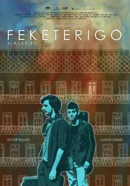 Feketerigó - постер