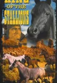 King of the Stallions - постер