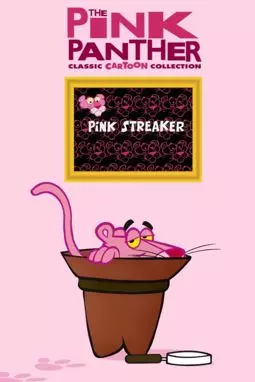 Pink Streaker - постер