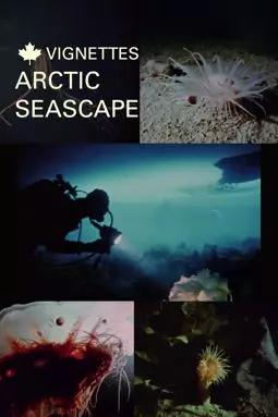 Canada Vignettes: Arctic Seascape - постер