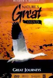 BBC: Чудеса живой природы: Великие путешествия - постер