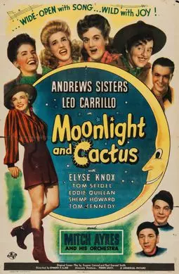Moonlight and Cactus - постер