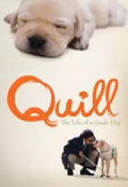 Quill: The Life of a Guide Dog - постер