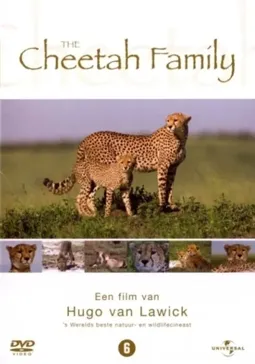 Cheetah Story - постер