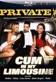 Private Gold 108: Cum in My Limousine - постер