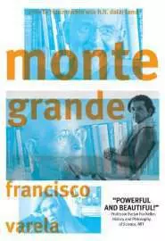 Monte Grande: What Is Life? - постер