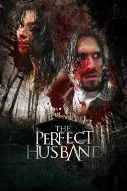 Идеальный муж - постер