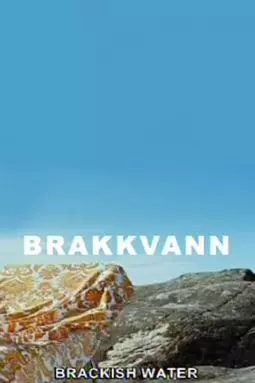 Brakkvann - постер