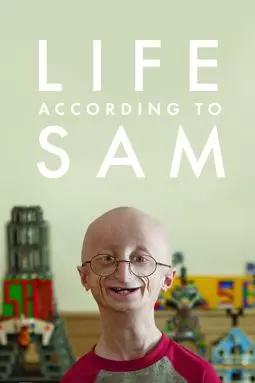Жизнь с точки зрения Сэма - постер