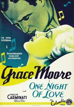 Одна ночь любви - постер