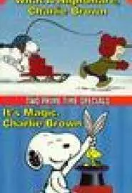 What a nightmare, Charlie Brown! - постер