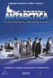 Antarctica - постер